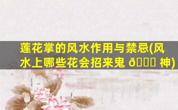 莲花掌的风水作用与禁忌(风水上哪些花会招来鬼 🐋 神)